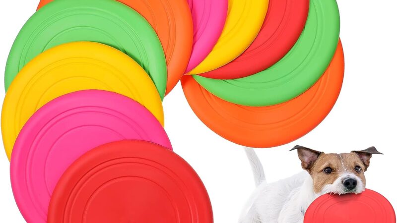 Unleash the Fun: A Review of the 15 Pack Dog Flying Disc Silicone Puppy Flyer Toy