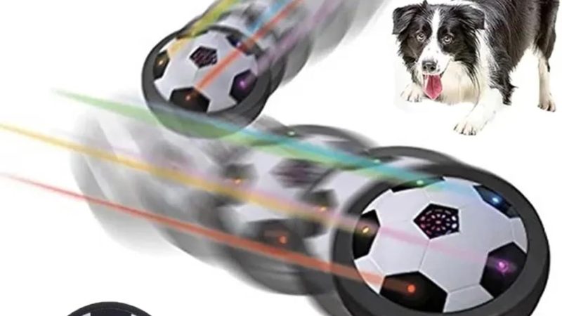 2023 New Active Gliding Disc – A Review of the Interactive Dog Toy with Cool Lighting Effects