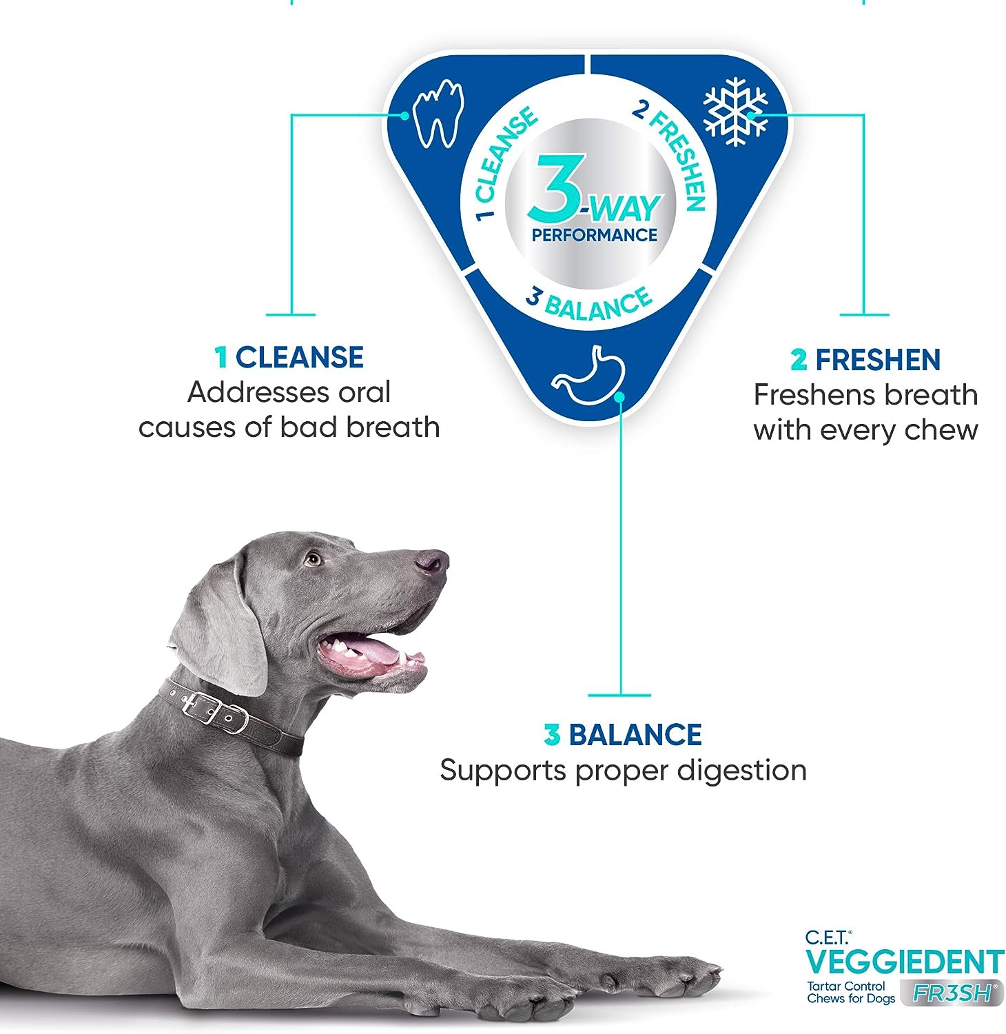 Virbac CET Veggiedent FR3SH Tartar Control Chews for Dogs: A Review