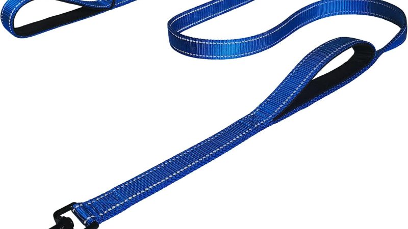 Dog Leash 6ft Long Traffic Padded Two Handle: A Reliable and Versatile Leash for Training and Control