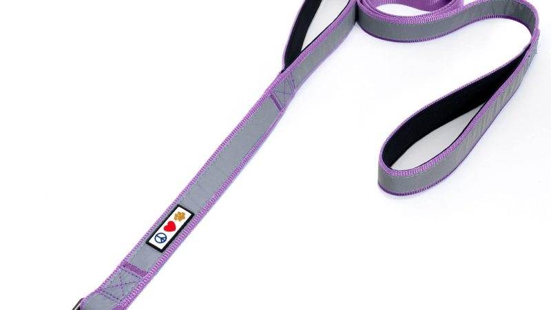 Pawtitas Double Handle Dog Leash: A Review of the Ideal Training Leash for Medium and Large Dogs