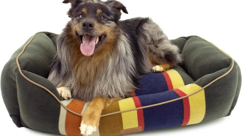 Pendleton Badlands Kuddler Pet Bed Large: A Comfortable and Stylish Pet Bed Review