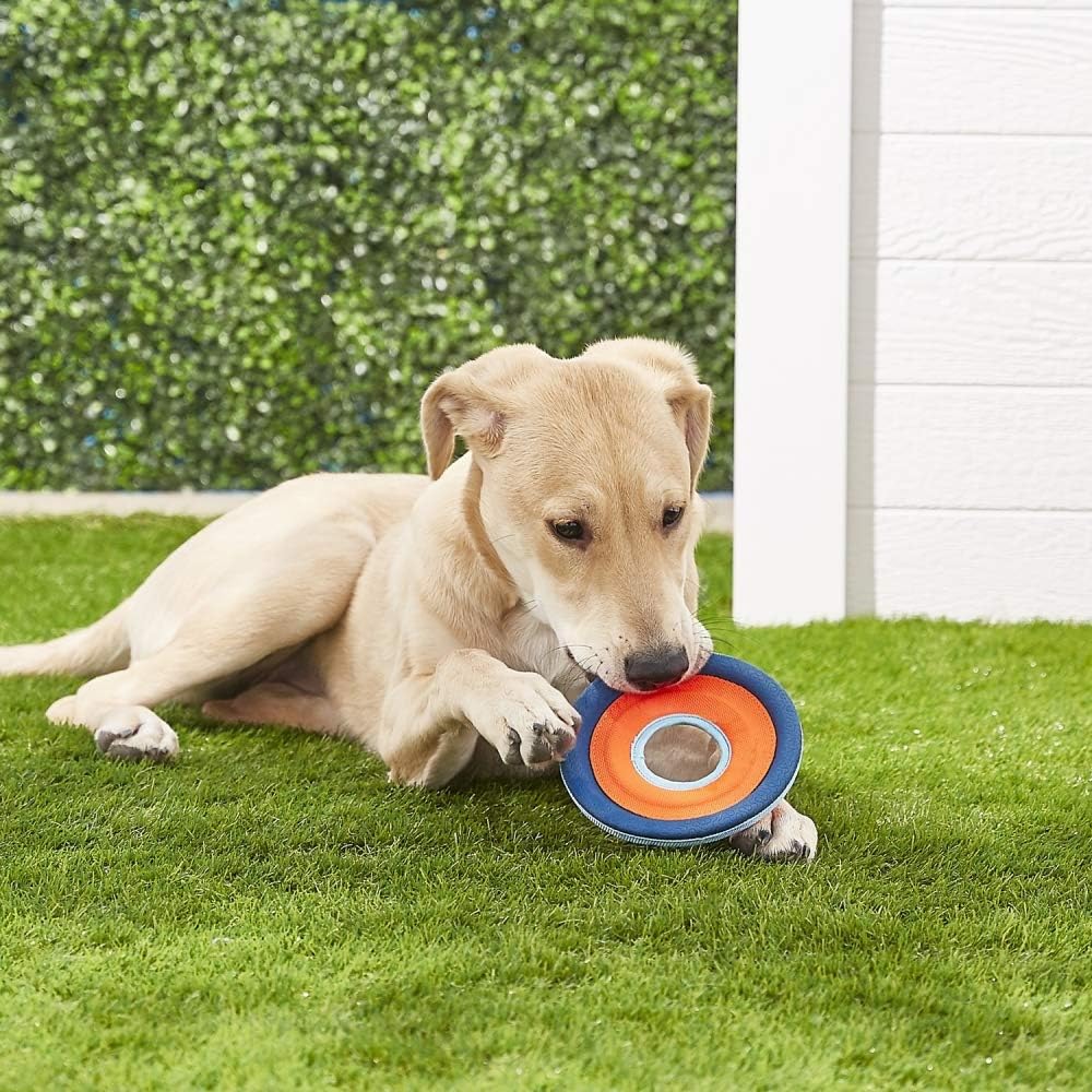 Chuckit! Zipflight Flying Disc Dog Toy: A Must-Have for High-Flying Fetch Games