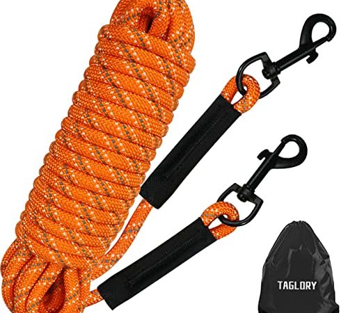 Taglory Dog Tie Out: The Perfect Leash for Training and Outdoor Activities
