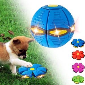 Unleash the Fun with the mrliance Flying Saucer Ball for Dogs