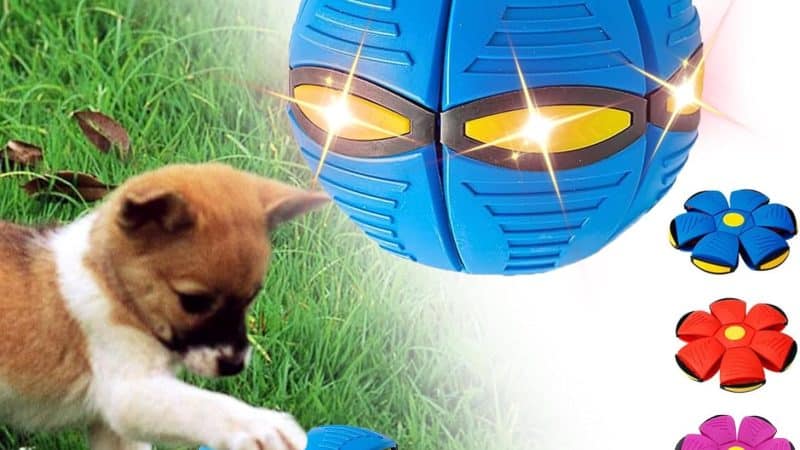 Unleash the Fun with the mrliance Flying Saucer Ball for Dogs