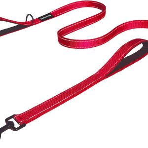 DOGSAYS Dog Leash 5ft Long Traffic Padded Two Handle: A Review